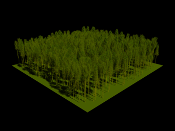 ../../_images/JARVSELJA_BIRCH_STAND_SUMMER_30_90.png