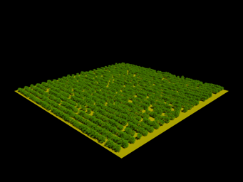 ../../_images/WELLINGTON_CITRUS_ORCHARD_30_90.png