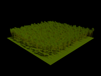 ../../_images/JARVSELJA_PINE_STAND_30_90.png