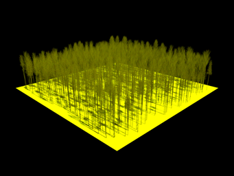 ../_images/JARVSELJA_BIRCH_STAND_WINTER_30_90.png